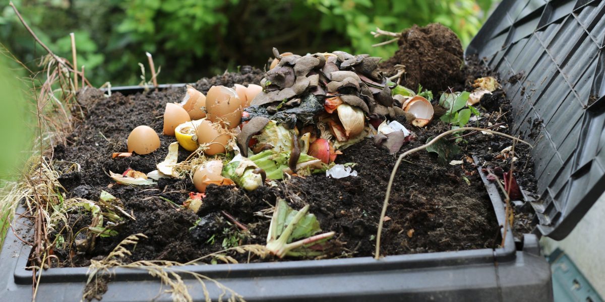 Learning to Compost for Beginners